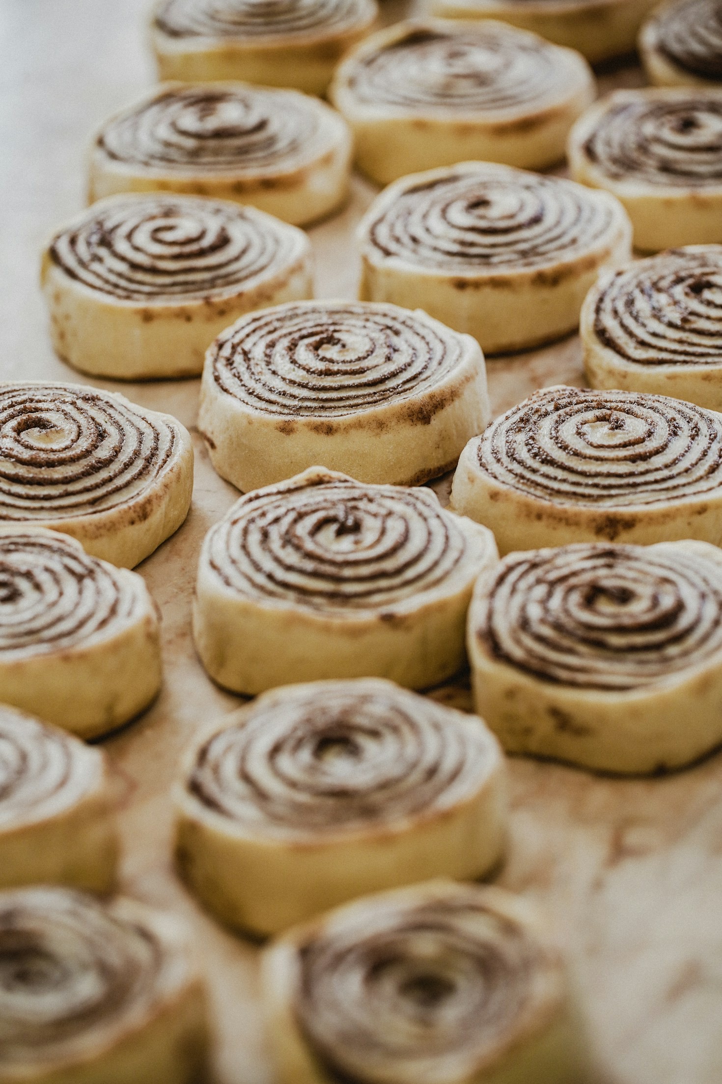 The Heartwarming Story of H712 Bakery